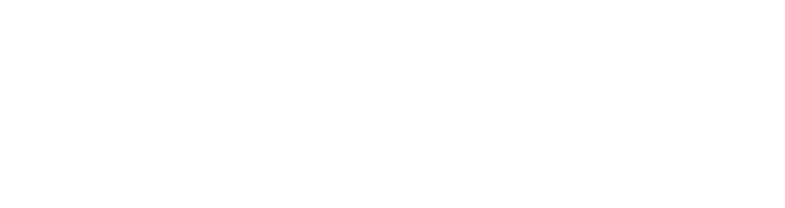 Access Healthcare Logo