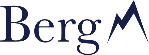 Berg Search Logo
