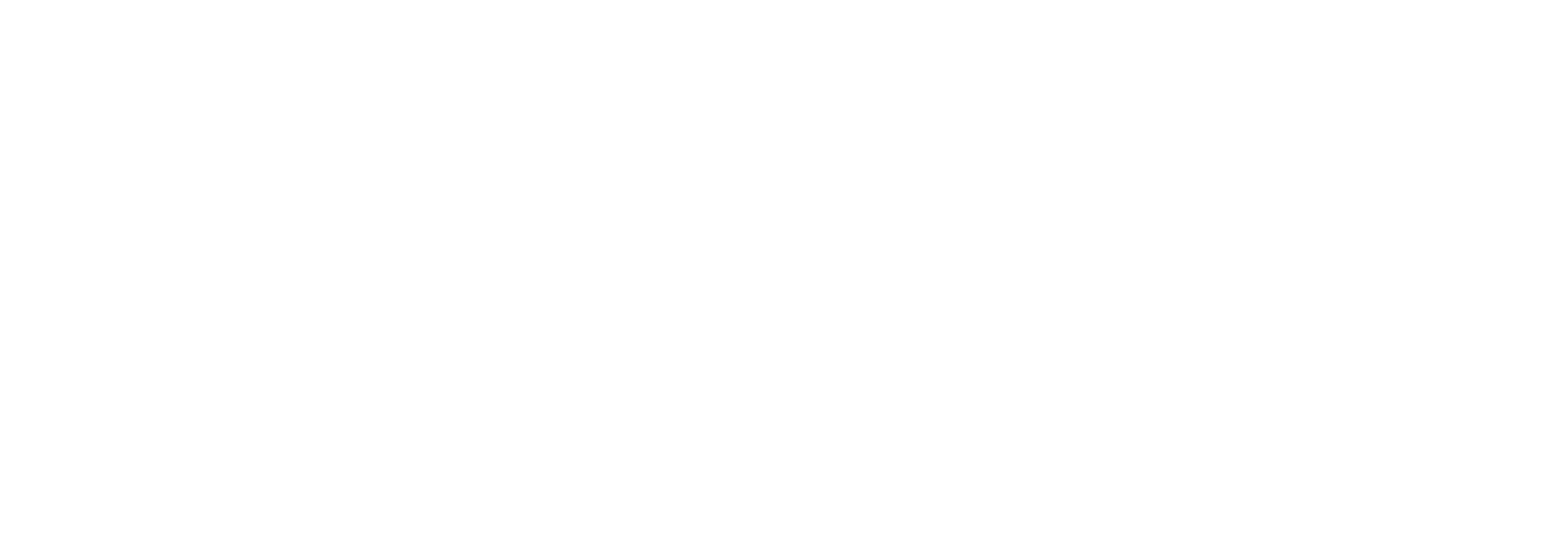 Berkner Group Logo
