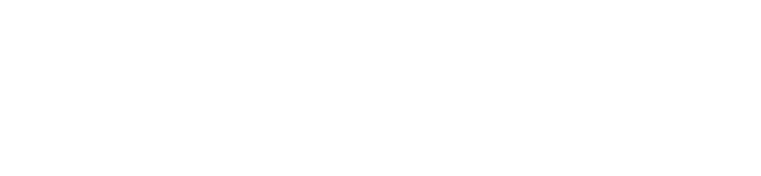 Bottle Rocket Search Logo