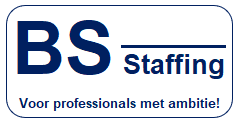 Bs Staffing Logo