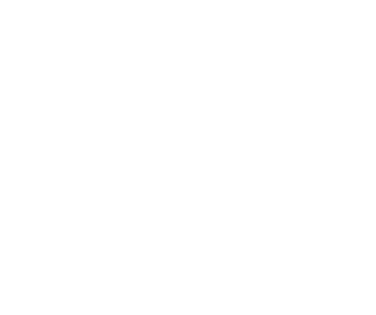 CANNECT Logo