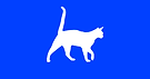 Cloudcat Recruitment Logo