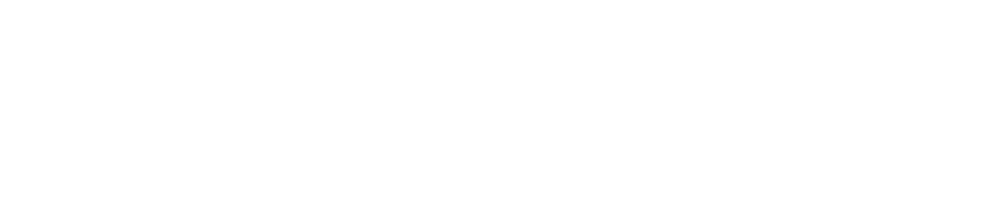 Dna Talent Logo