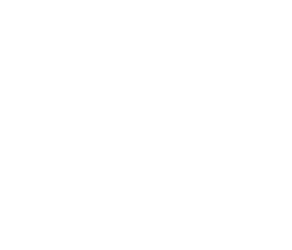 GAP Consulting Logo
