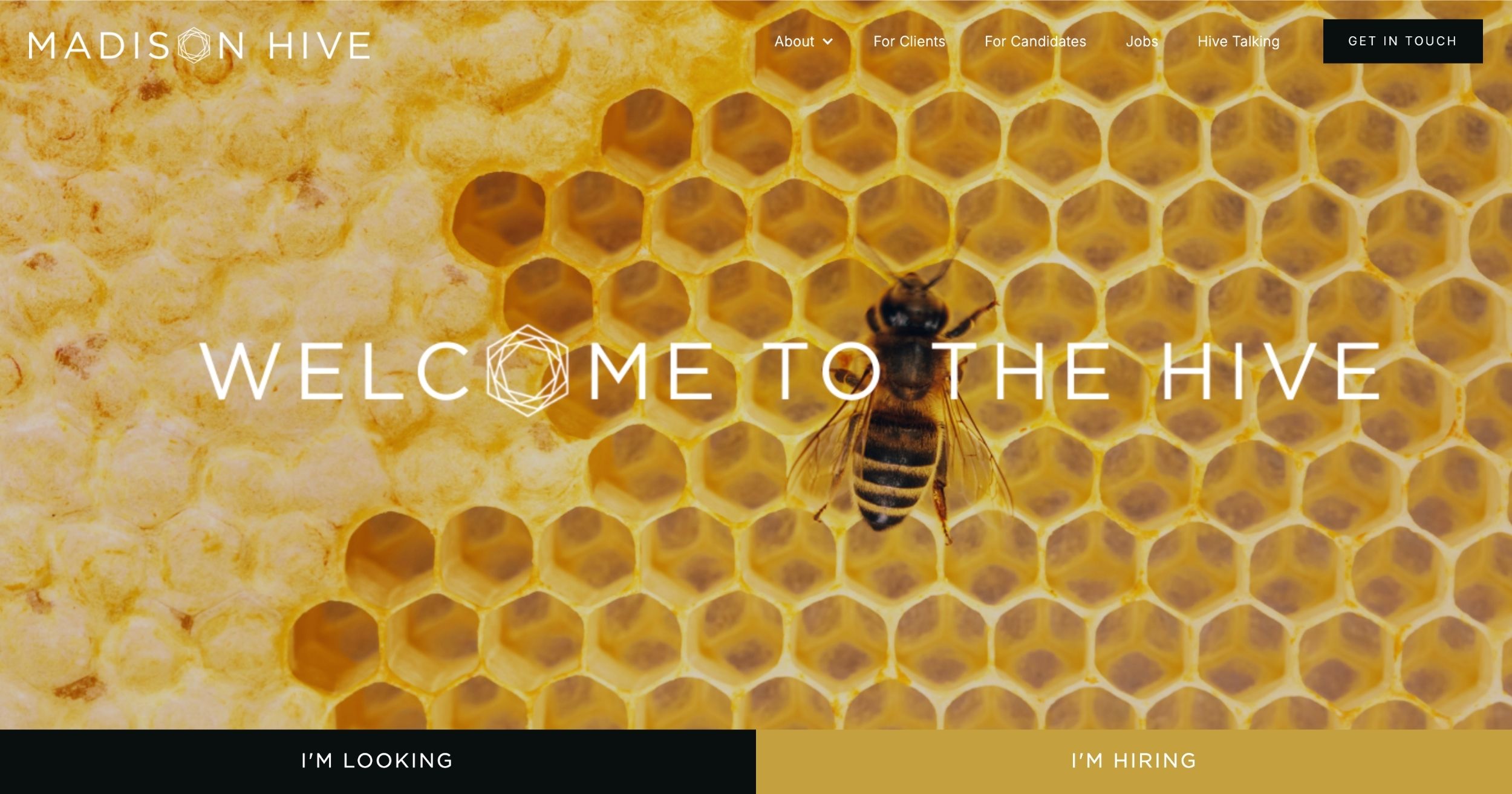 Madison Hive Logo