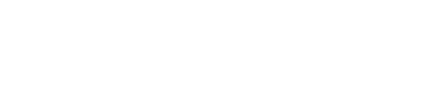 Simplyvision Logo
