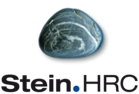 Stein Human Resources Consulting Logo