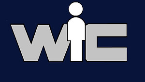 Windsor Consultants Logo