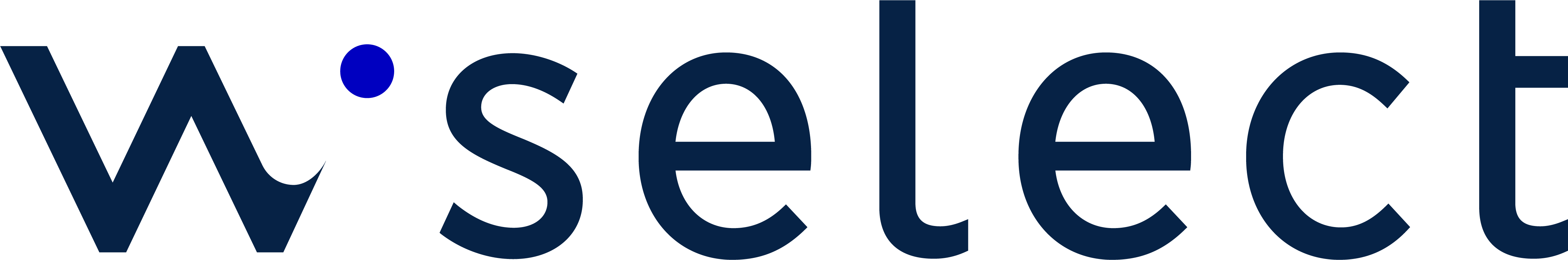 Wiselect Logo